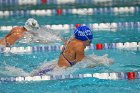 Swimming & Diving vs Babson  Swimming & Diving vs Babson College. - Photo by Keith Nordstrom : Wheaton, Swimming